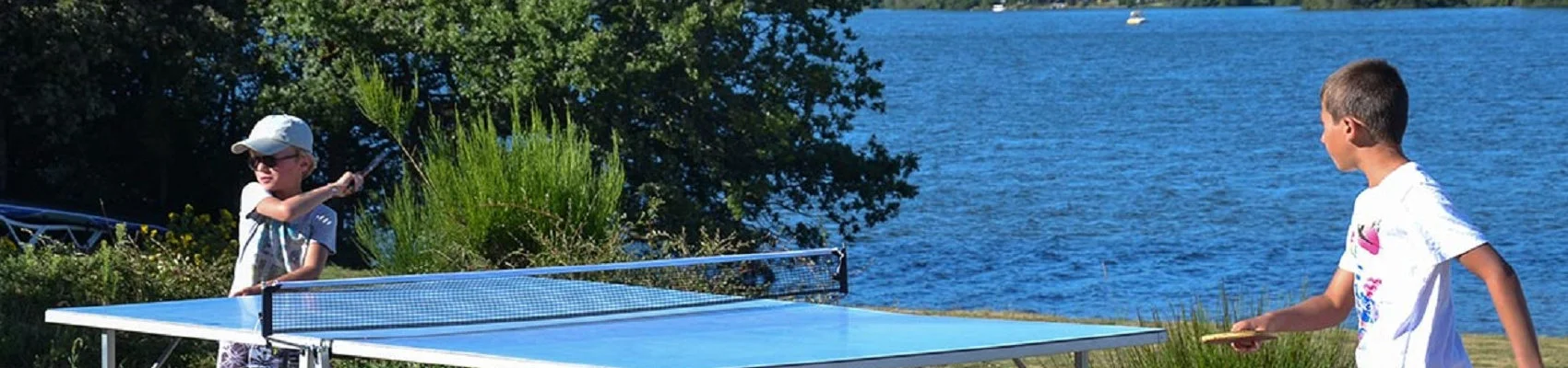 jeu ping pong Table de poing-pong