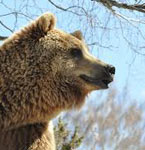 Pradinas Animal Park