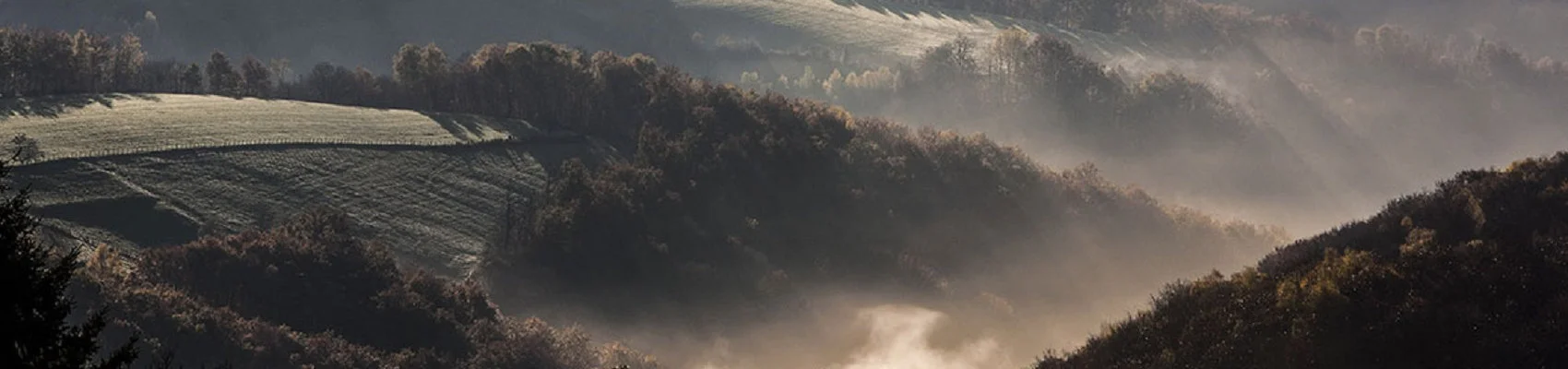 Vue sur la vallée du Tarn