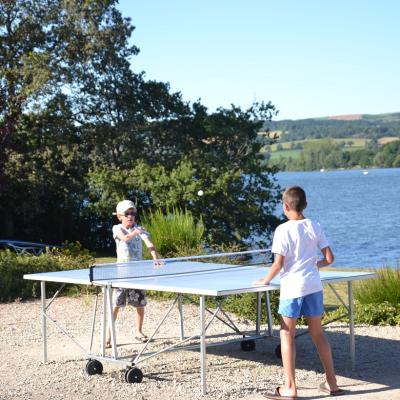 Ping-pong table