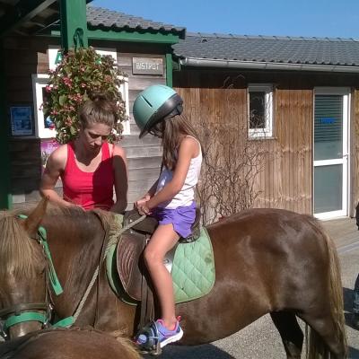 Les animaux au Hameau des Lacs : un séjour en pleine nature